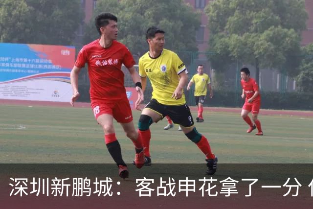 深圳新鹏城：客战申花拿了一分 但丢了保级主动权